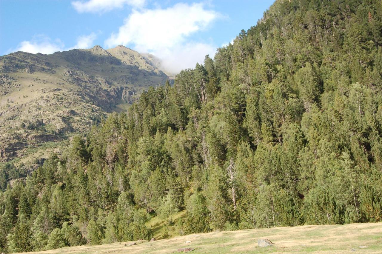 Hotel Vall Ferrera Areu Luaran gambar